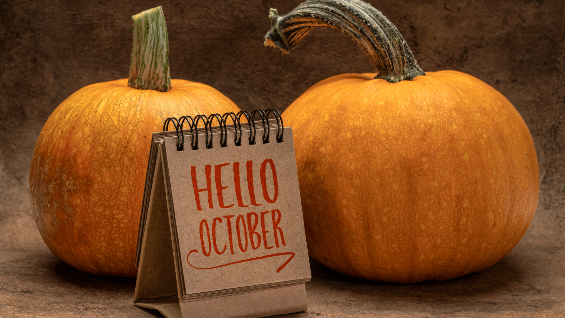 Organized meal planner and fall groceries ready for the holiday season
