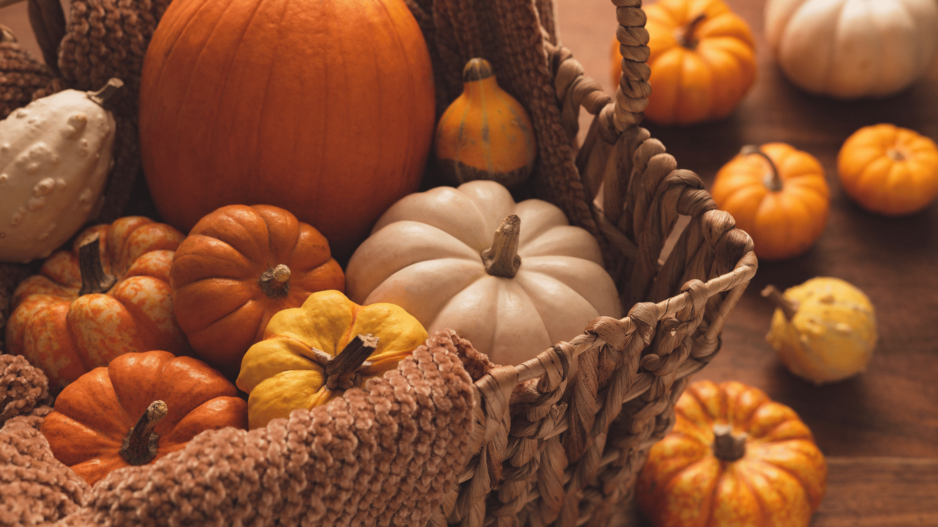 Pumpkin pie and bread on a rustic fall table preserved on Mealmento